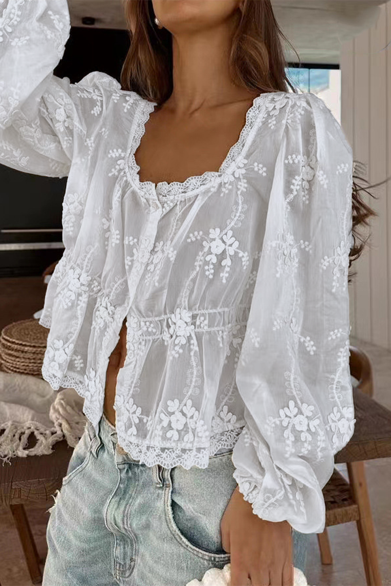 Embroidered Sheer Long Sleeve Blouse