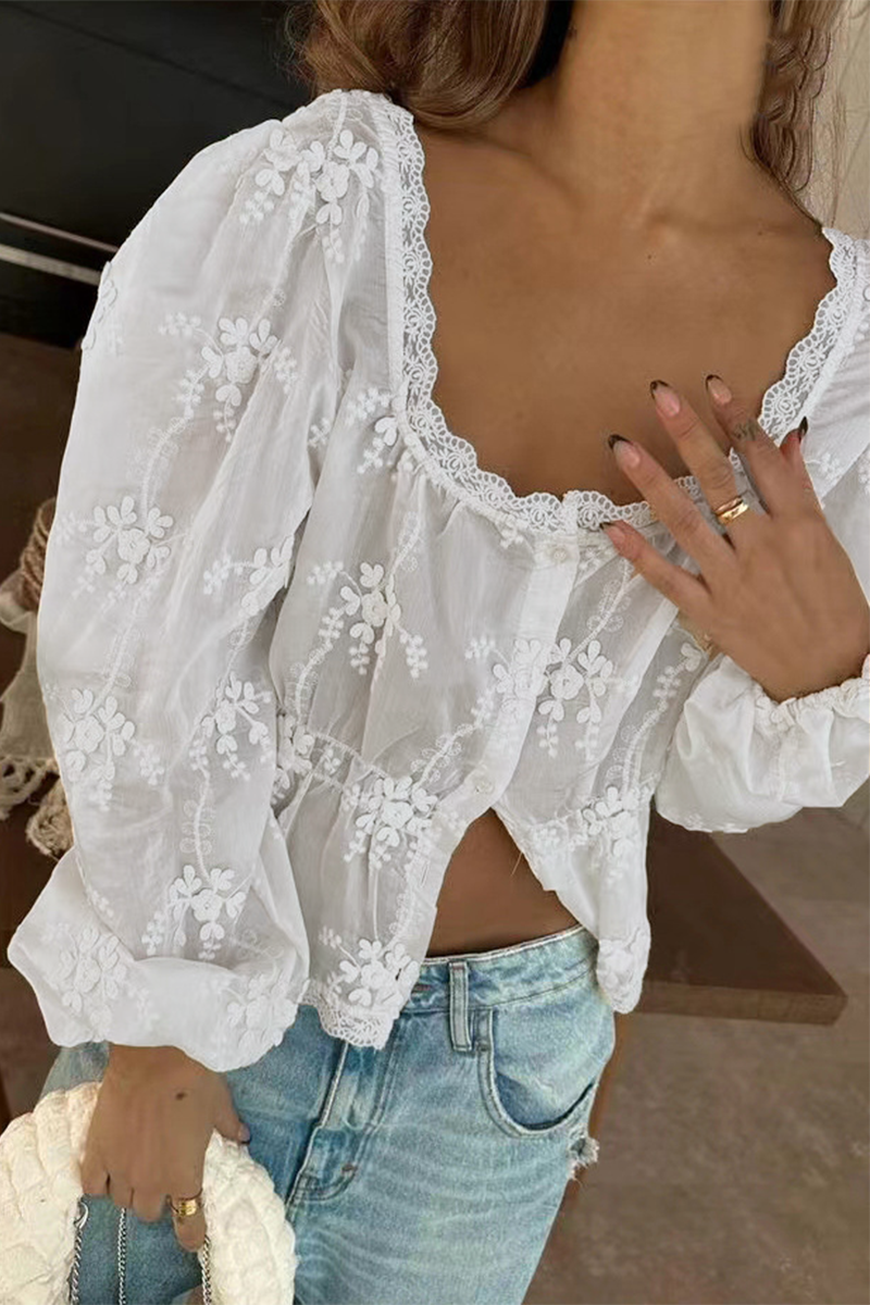 Embroidered Sheer Long Sleeve Blouse