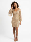 Party Sequin Mini Dress