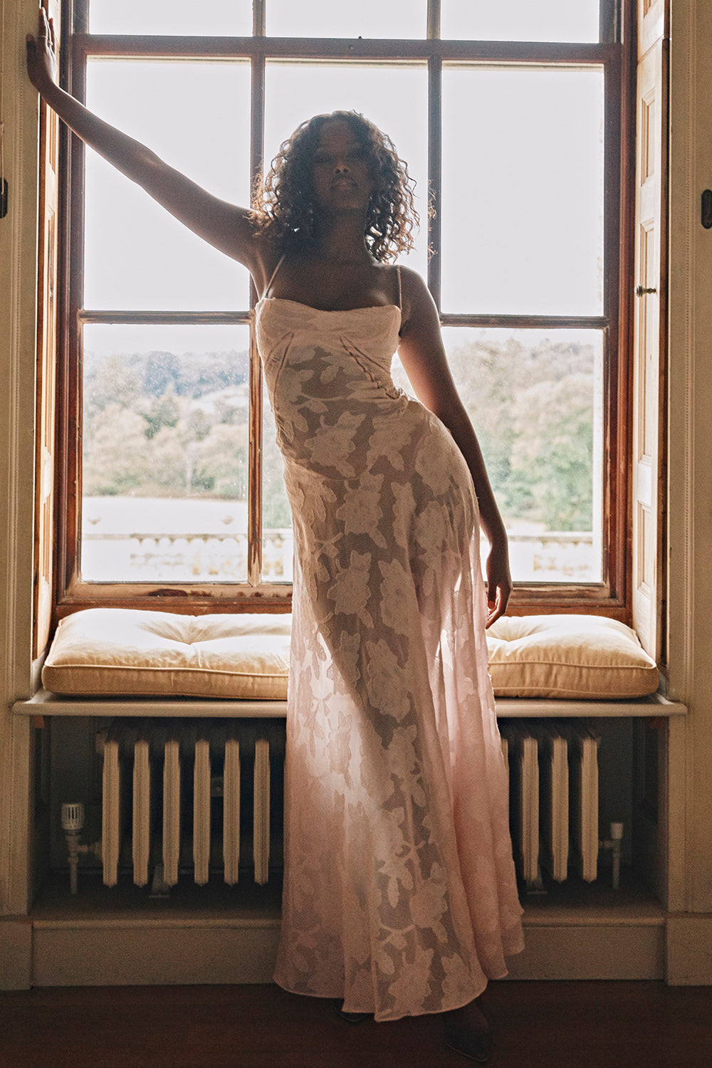 Embroidered Sleeveless Maxi Dress