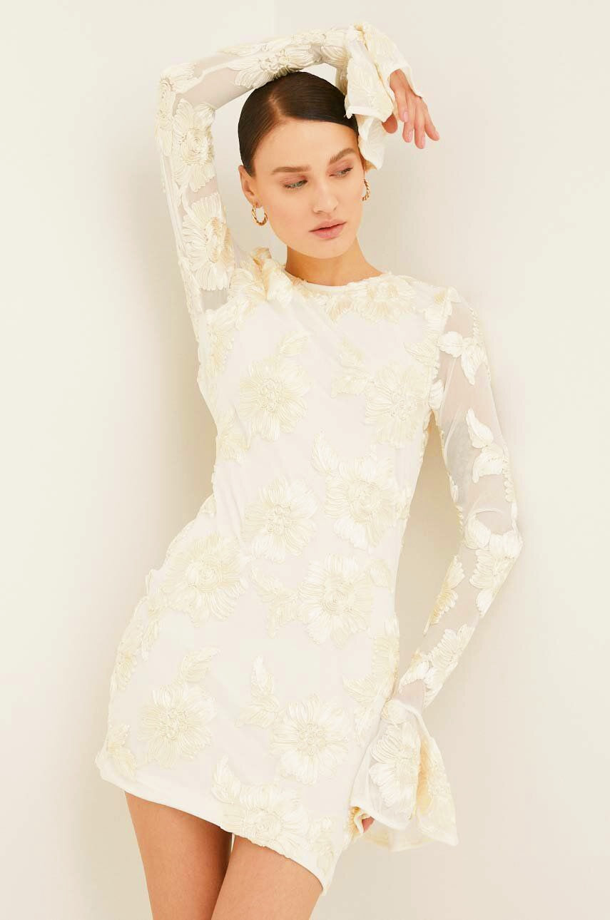 Floral Embroidered Long Sleeve Mini Dress